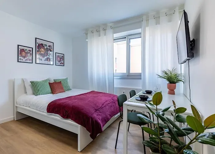 Appartement Douillet /centre Straatsburg
